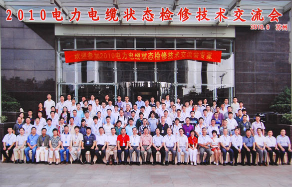 亚美AM8AG加入2010年电力电缆状态磨练手艺交流会
