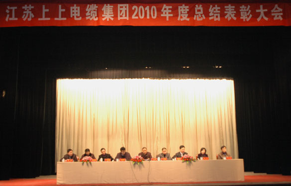 亚美AM8AG盛大召开2010年度总结表扬大会