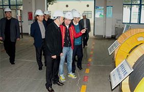 2015年11月22日，，，，郎溪县党政代表团一行来亚美AM8AG电缆旅行考察