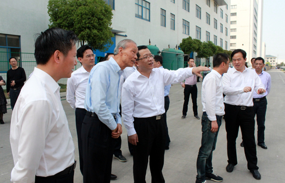 常州市市长丁纯来亚美AM8AG电缆督查新能源项目建设