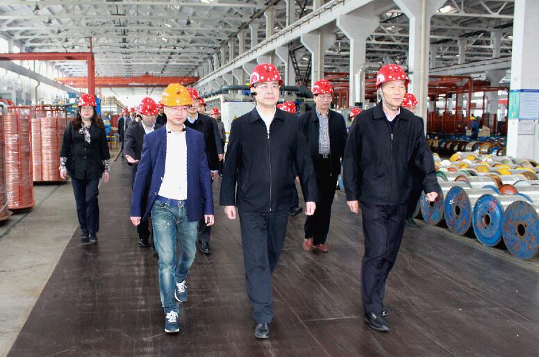 南京市六合区党政代表团来亚美AM8AG电缆旅行考察