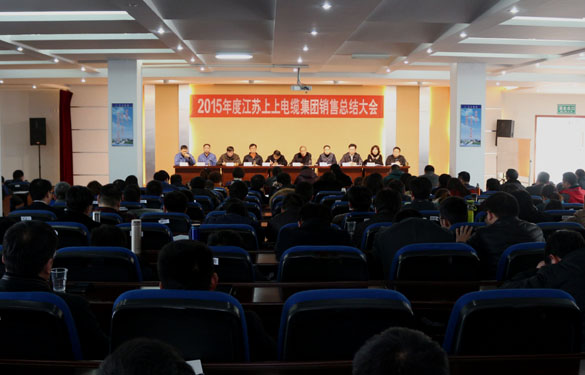 亚美AM8AG召开2015年度销售总结大会