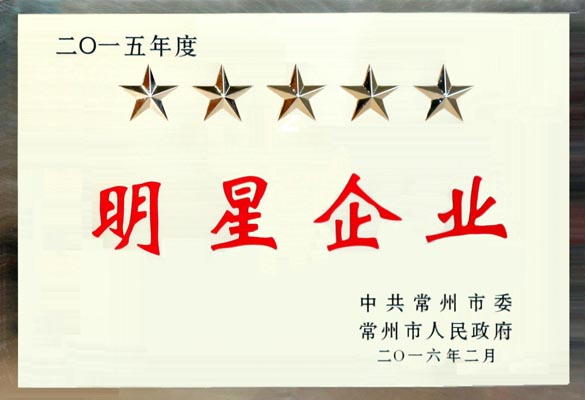 亚美AM8AG电缆在常州市“重大项目推进年”发动大会上再次载誉而归