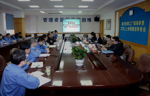 亚美AM8AG电缆顺遂通过南方电网公司工厂现场审查