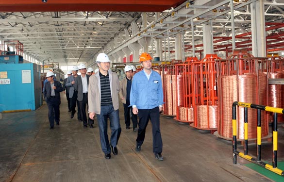 2015年11月3日，，，，新泰市党政代表团来亚美AM8AG电缆考察