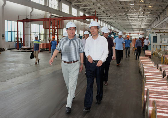 中国恒天集团董事长张杰一行来亚美AM8AG电缆旅行考察