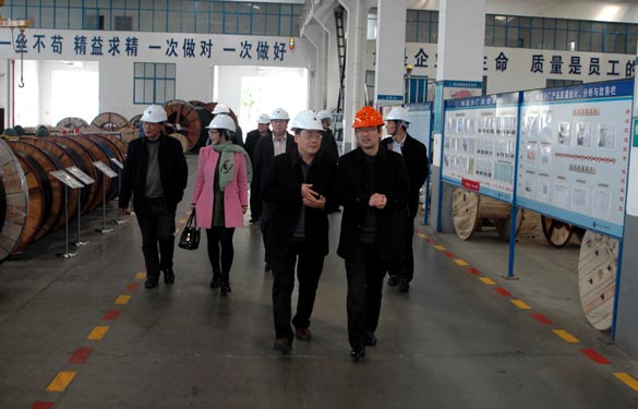 2015年3月13日，，，，，，金坛市经信局向导一行来亚美AM8AG电缆考察