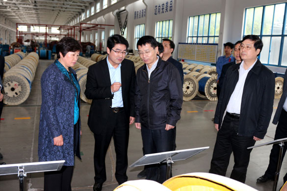 巢湖市委副书记张生一行来亚美AM8AG集团旅行考察