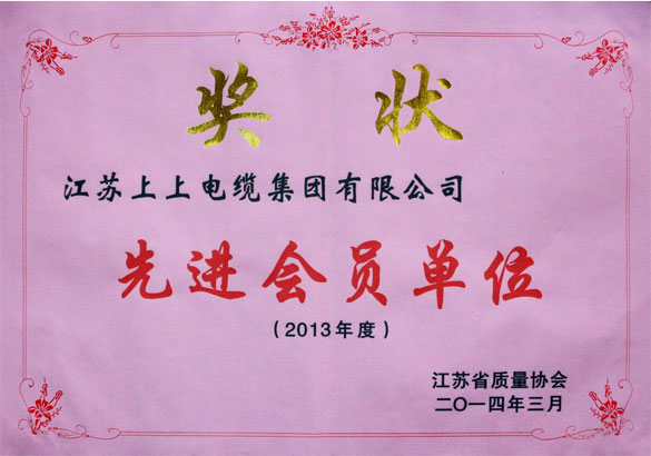 亚美AM8AG集团荣获江苏省质量协会2013年度“先进会员单位”称呼