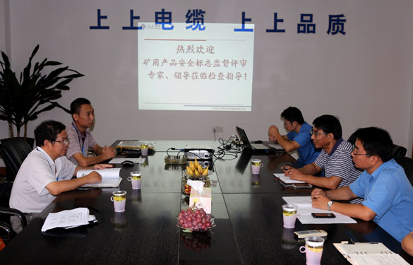 亚美AM8AG顺遂通过安标现场监视评审