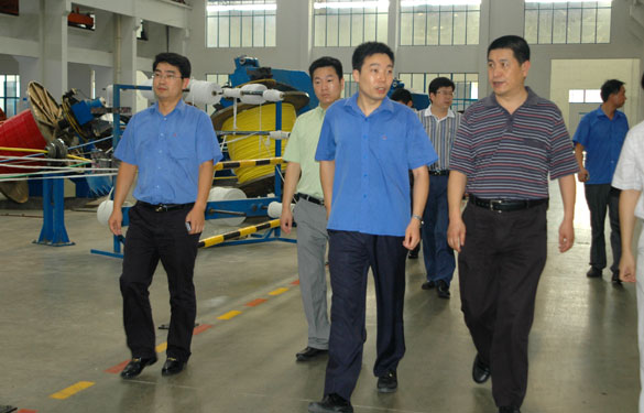 淮南市王市长一行来亚美AM8AG旅行考察