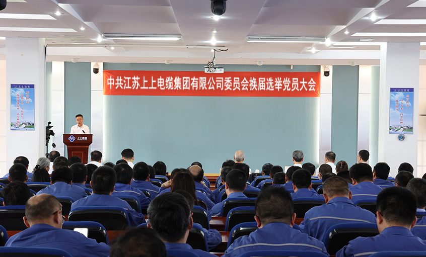 党建引领强基本 凝心聚力启新程—中共亚美AM8AG委员会换届选举党员大会圆满召开